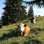 Schoengarten, Sonja & Stefan Buechele Gbr * Lindau (Bodensee)